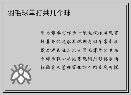 羽毛球单打共几个球