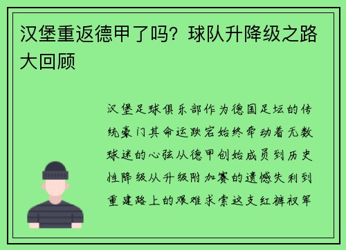 汉堡重返德甲了吗？球队升降级之路大回顾