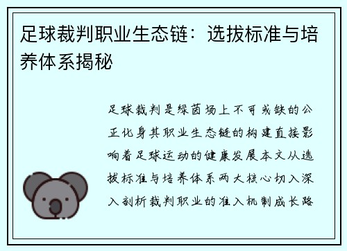 足球裁判职业生态链：选拔标准与培养体系揭秘